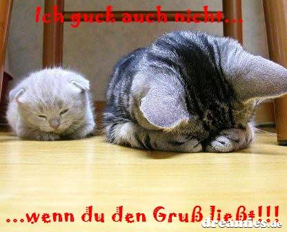 ext. Bild