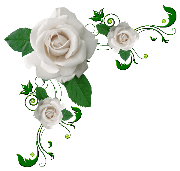 ����� � PNG. ���������� �� LiveInternet - ���������� ������ ������-���������