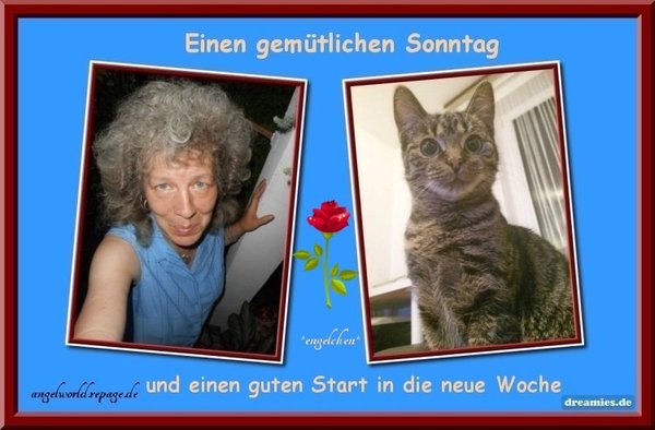 An den Beitrag angehängtes Bild: http://img7.dreamies.de/img/365/b/jxyeqx8q1c2.jpg