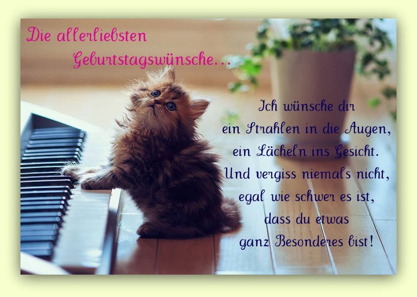 viele liebe Geburtstagsgrüße gehen heute an Duedi Gratulationen