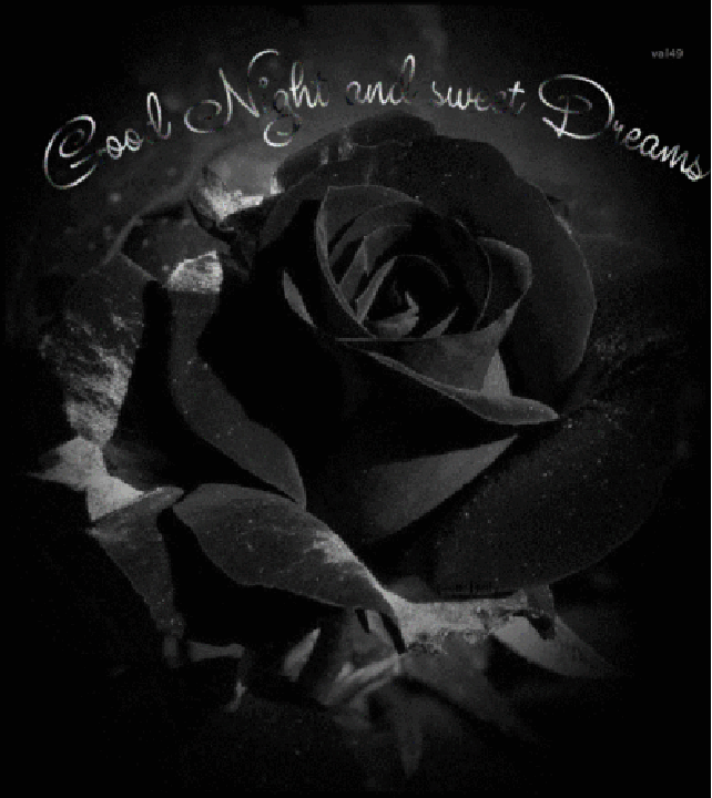 dreamies.de (o5ficb1pdbb.gif) Black rose flower, Rose seeds, Black