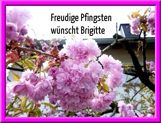 An den Beitrag angehängtes Bild: http://img7.dreamies.de/img/723/b/9d74nk5rh1d.jpg