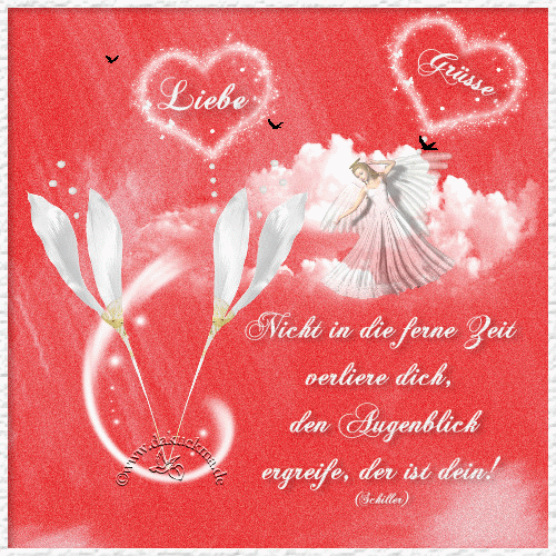 Mitglieder-Pic
