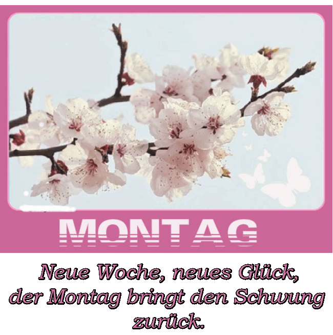 An den Beitrag angehängtes Bild: https://img7.dreamies.de/img/479/b/9jkxmsfm7jt.gif