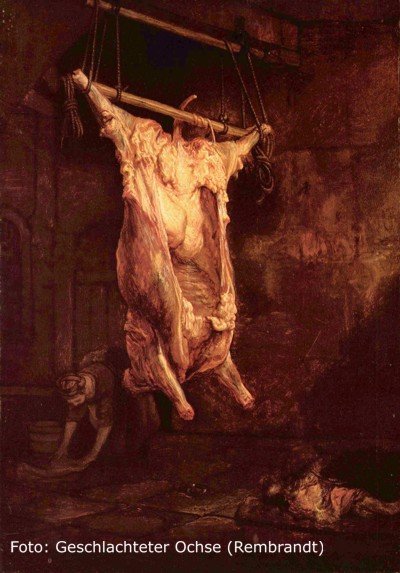 Bibel Zitate Für Die Freiheit Und Das Leben Aller Tiere